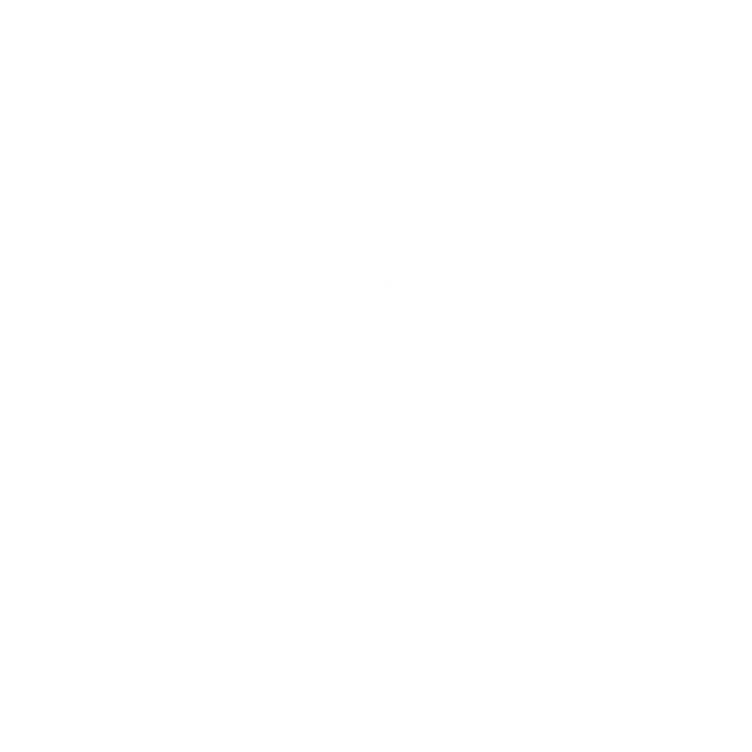 Tribe Hummus